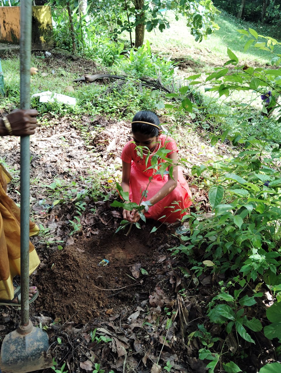 Environment day celebration